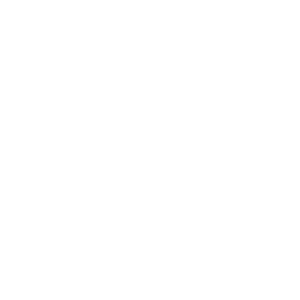 Schoen Research